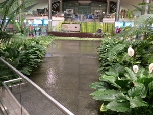 20130923-064100.jpg