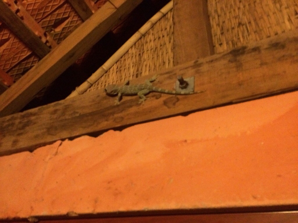 20130926-233648.jpg