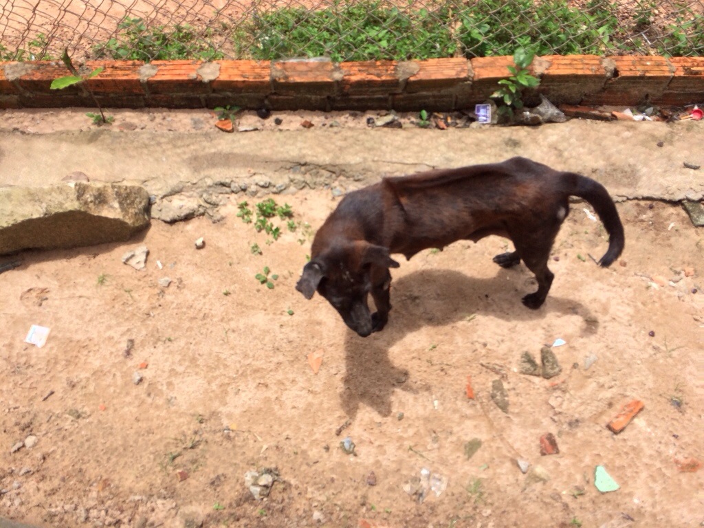 20130929-120951.jpg