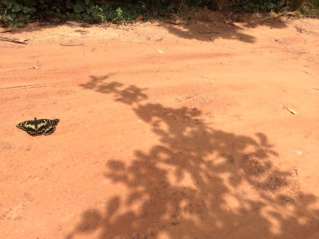 20130929-121344.jpg