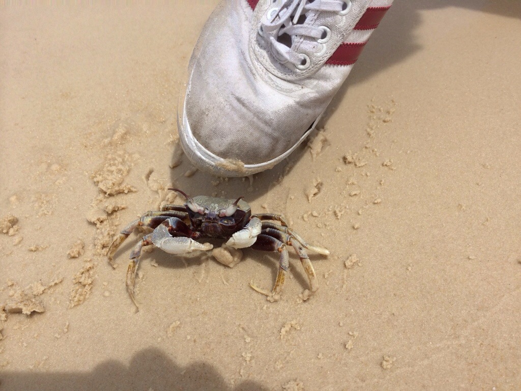 20130929-121443.jpg