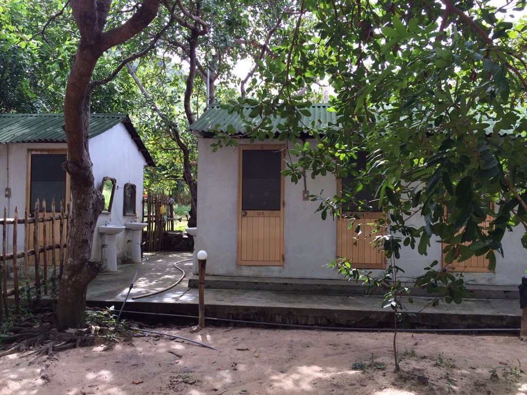 20130929-142405.jpg