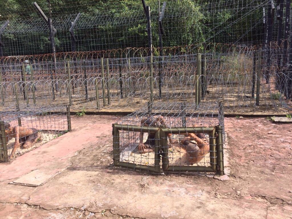 20130929-142646.jpg