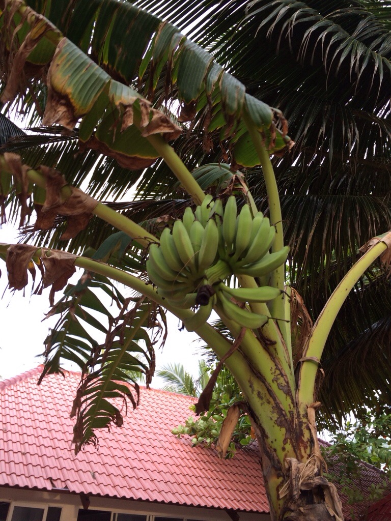 20130929-143720.jpg