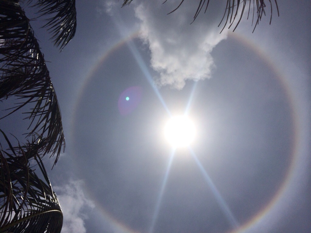 20130929-180504.jpg