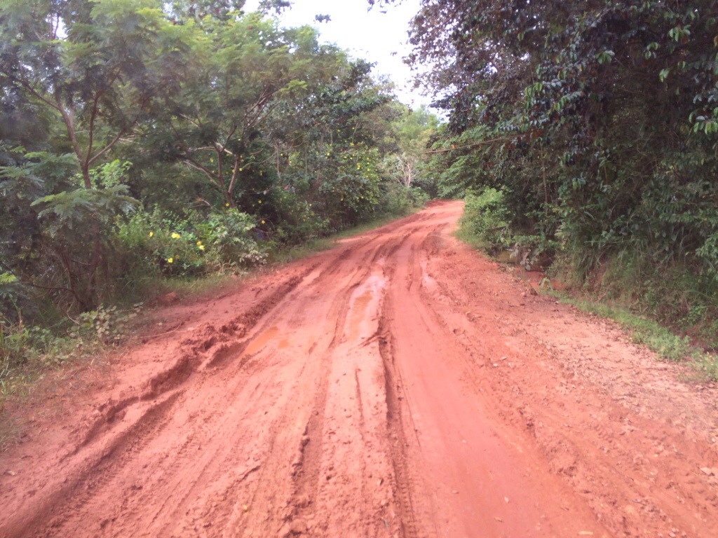 20130929-180846.jpg