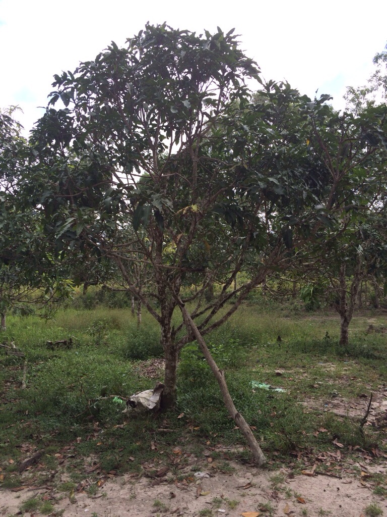 20130929-185714.jpg