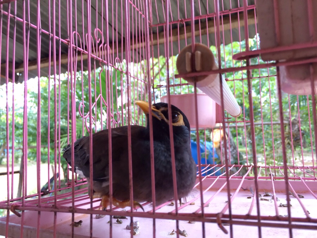 20130929-185934.jpg