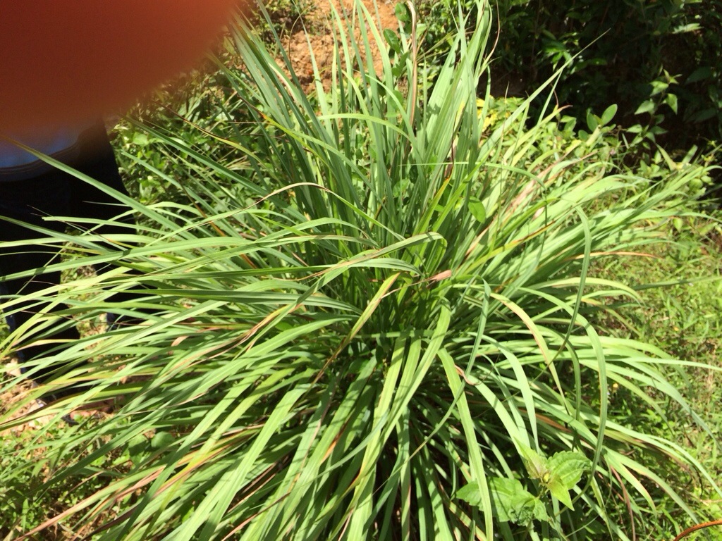 20130929-190055.jpg