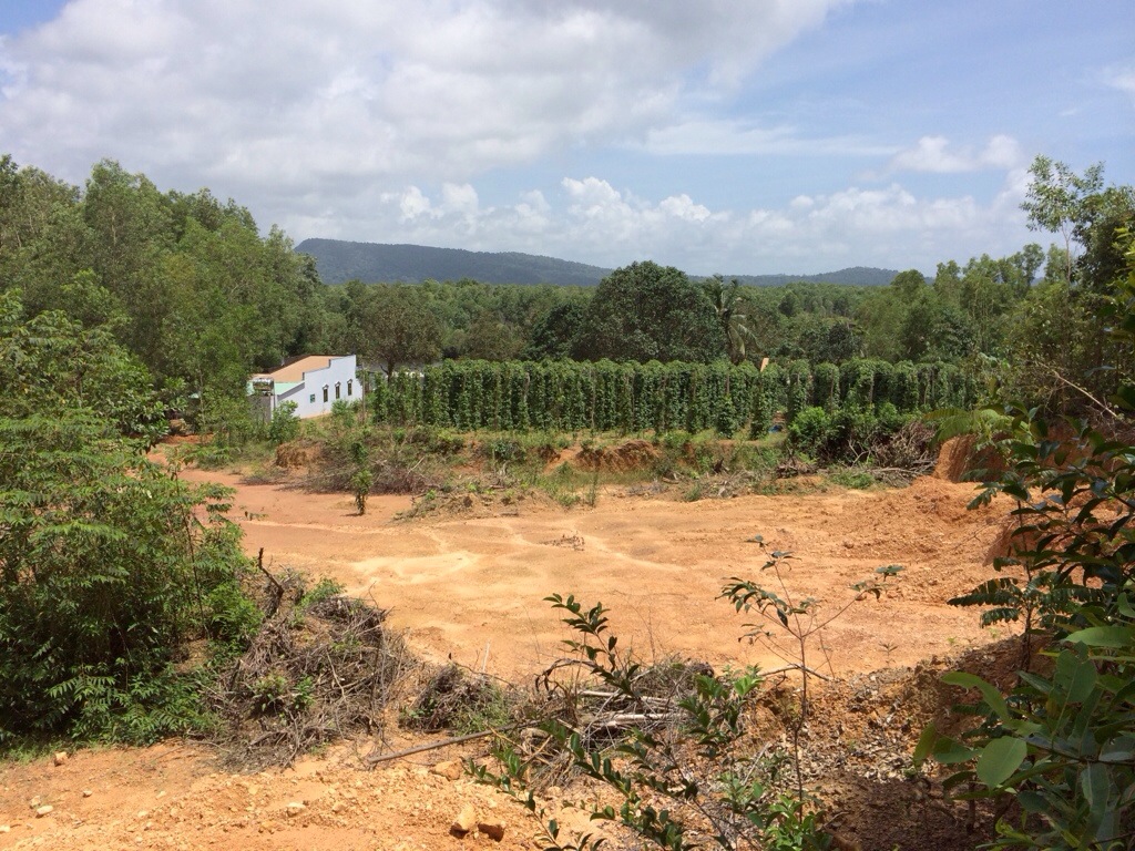 20130929-190103.jpg