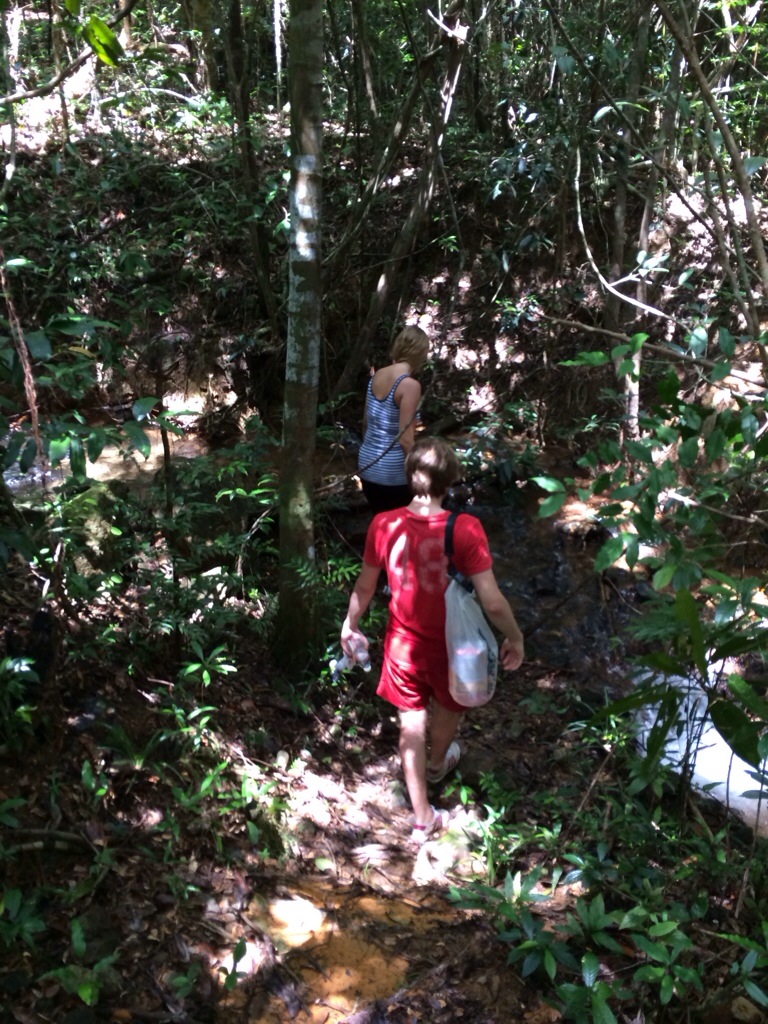 20130929-190136.jpg