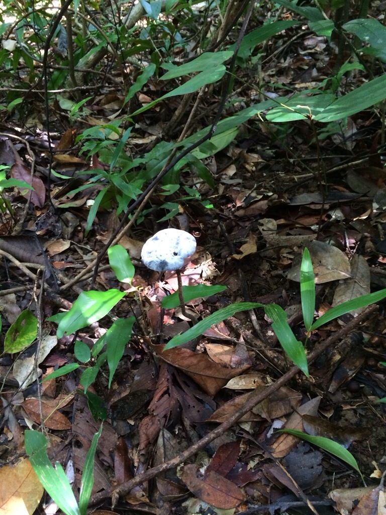 20130929-190159.jpg