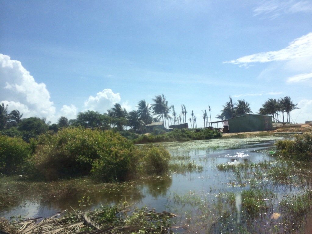 20130929-190245.jpg