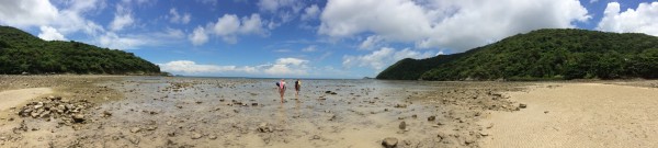IMG_3940-001